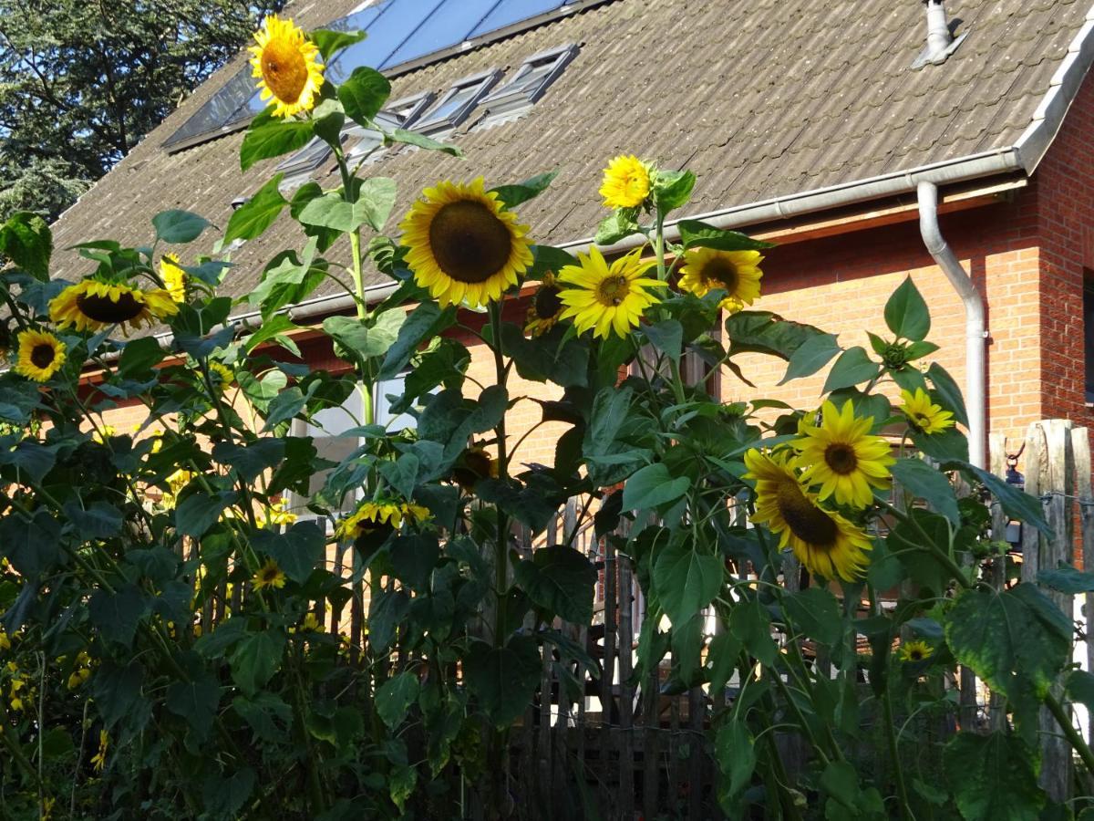 Peanuts Hostel & Meer Surendorf Bagian luar foto